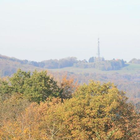 Fewo Im Naturpark Spiegelberg Luaran gambar