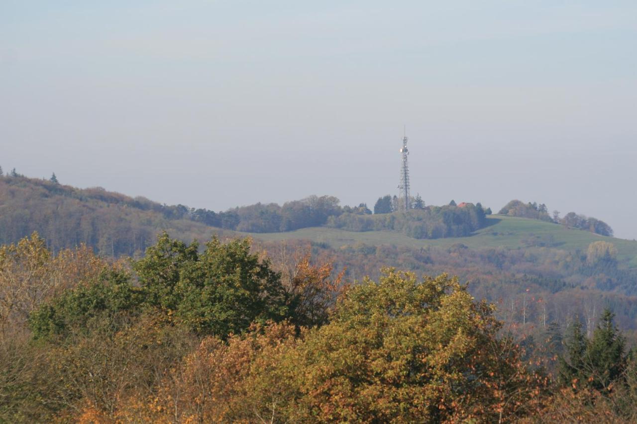 Fewo Im Naturpark Spiegelberg Luaran gambar